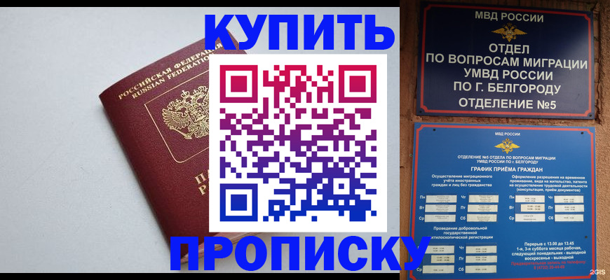 прописка регистрация в Лодейном Поле